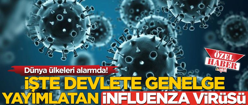 Dünya ülkeleri alarmda! İşte devlete genelge yayımlatan İnfluenza virüsü