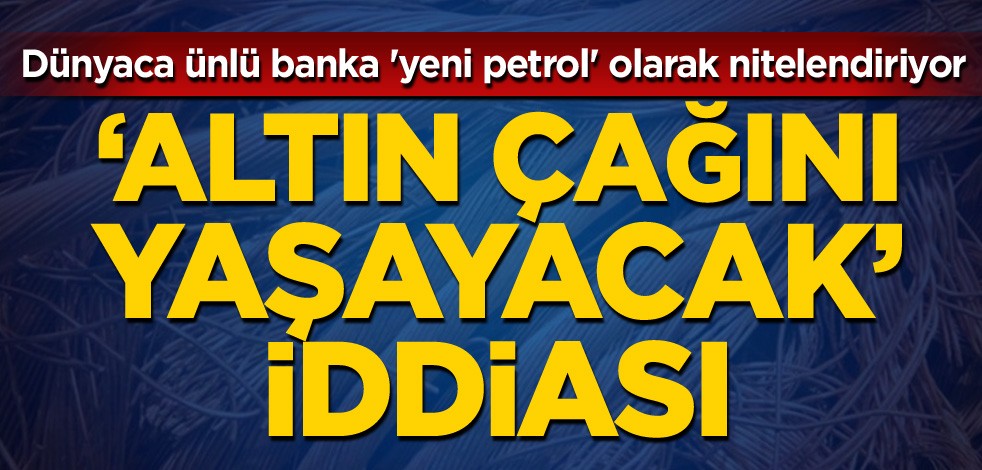 Dünyaca ünlü banka 'yeni petrol' olarak nitelendiriyor! 'Altın çağını yaşayacak' iddiası