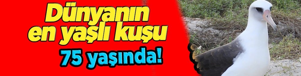 Dünyada bilinen en yaşlı vahşi kuş olarak tarihe geçti: Yeniden geri döndü!