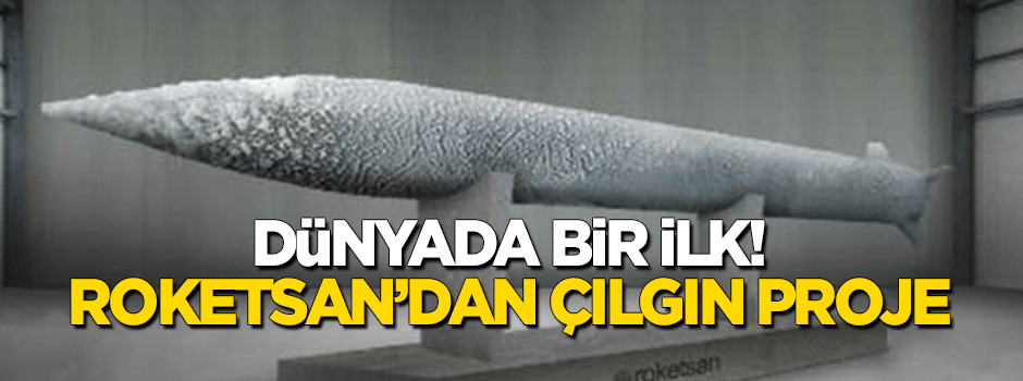 Dünyada bir ilk: Proje sonuçlandırılmak üzere
