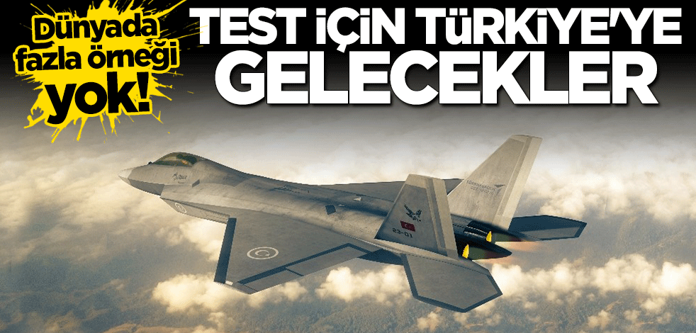 Dünyada çok fazla örneği yok: Test için Türkiye'ye gelecekler