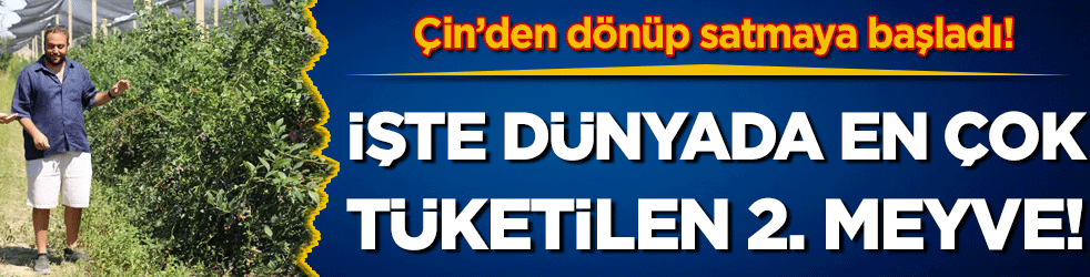 D&uuml;nyada en &ccedil;ok t&uuml;ketilen 2. meyve! &Ccedil;in'den d&ouml;n&uuml;p satmaya başladı!