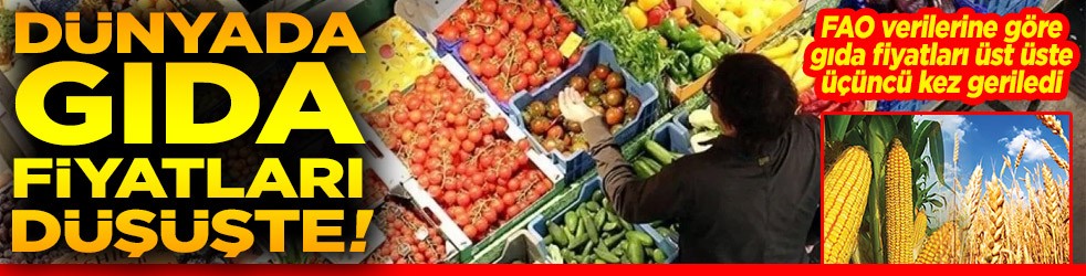 Dünyada gıda fiyatları düşüşte