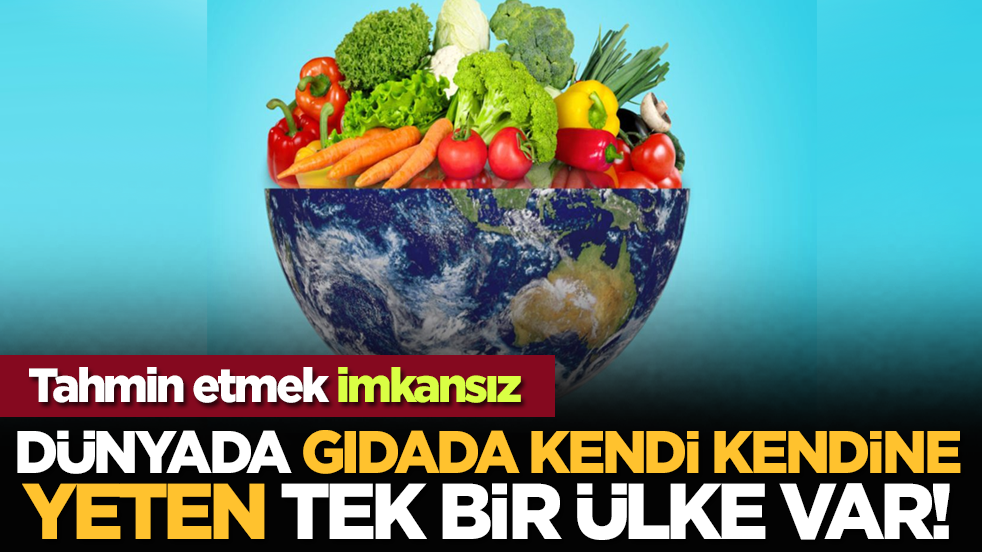 Dünyada gıdada kendi kendine yeten tek bir ülke var! Tahmin etmek imkansız