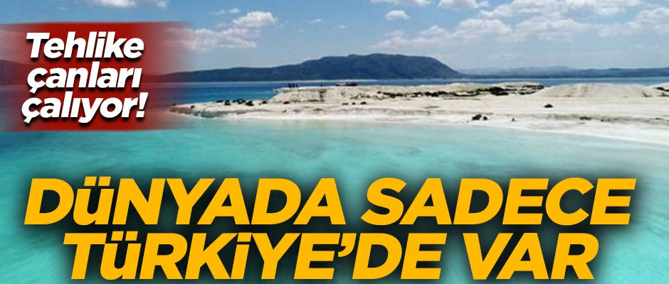 Dünyada sadece Türkiye'de var! Tehlike çanları çalmaya başladı