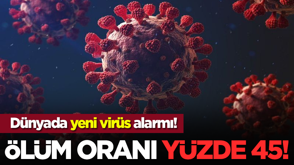Dünyada yeni virüs alarmı! Ölüm oranı yüzde 45!