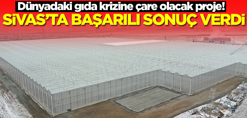 Dünyadaki gıda krizine çare olacak proje Sivas'ta başarıyla sonuçlandı! Müthiş haber verildi