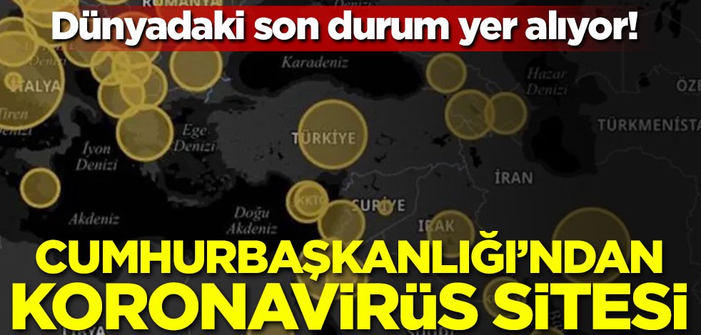 Dünyadaki son durum yer alıyor! Cumhurbaşkanlığı'ndan koronavirüs sitesi