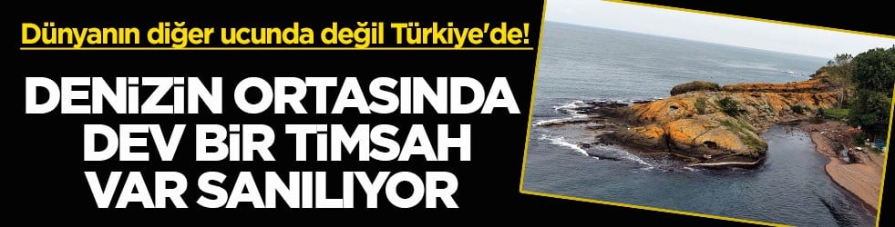 Dünyanın diğer ucunda değil Türkiye'de! Denizin ortasında dev bir timsah var sanılıyor