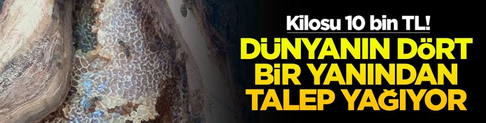 Dünyanın dört bir yanından talep yağıyor: Kilosu 10 bin TL