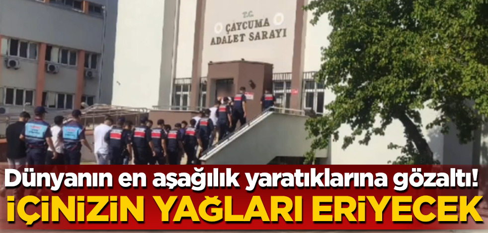 Dünyanın en aşağılık yaratıklarına gözaltı! İçinizin yağları eriyecek