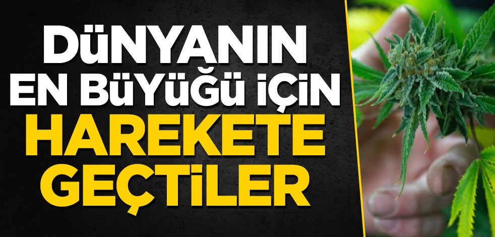 Dünyanın en büyüğü için harekete geçtiler