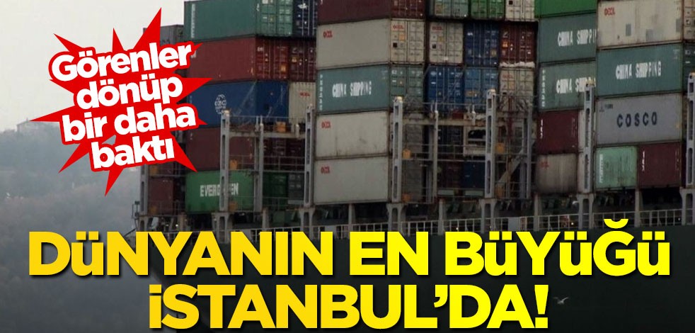 Dünyanın en büyüğü İstanbul'da! Görenler dönüp bir daha baktı