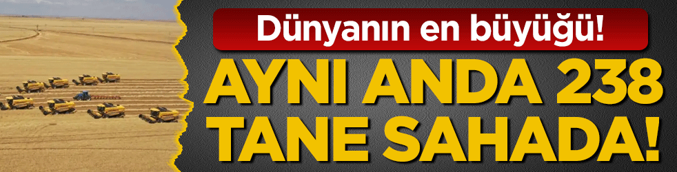 Dünyanın en büyüğünde hasat zamanı! Aynı anda 238 biçerdöver sahada!