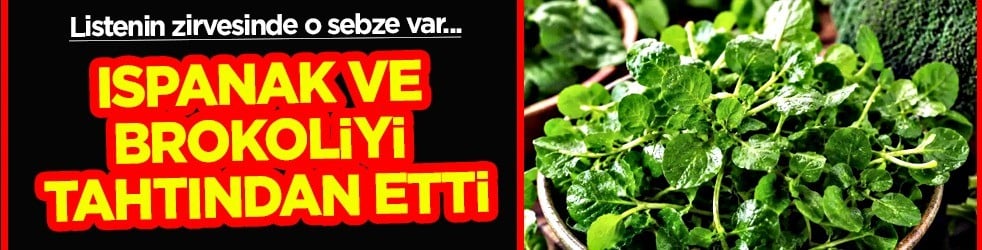 Dünyanın en sağlıklı sebzesi seçildi: Her gün tüketince vücudu bambaşka yapıyor... Bakın ne yaptı