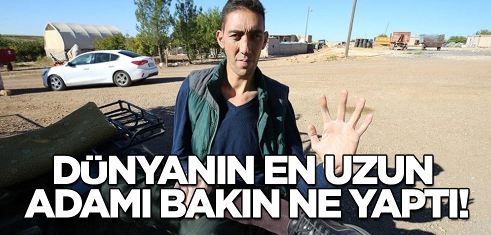 Dünyanın en uzun adamı Sultan, Derik zeytinini işte böyle hasat etti! Bu beklenmiyordu, sessizliğini bozdu