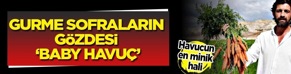  Dünyanın en zengin beta-karoten' kaynağı 'baby havuç' herkesin gözdesi oldu: Beypazarı'nda siparişlere yetişemiyor