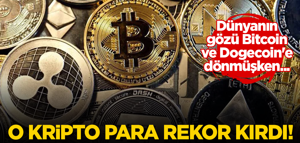 Dünyanın gözü Bitcoin ve Dogecoin'e dönmüşken o kripto para rekor kırdı!