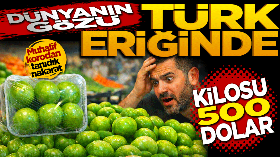 Dünyanın gözü Türk eriğinde: Kilogramı 500 dolar! Muhalif korodan tanıdık nakarat