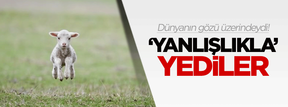 Dünyanın gözü üzerindeydi! 'Yanlışlıkla' yediler
