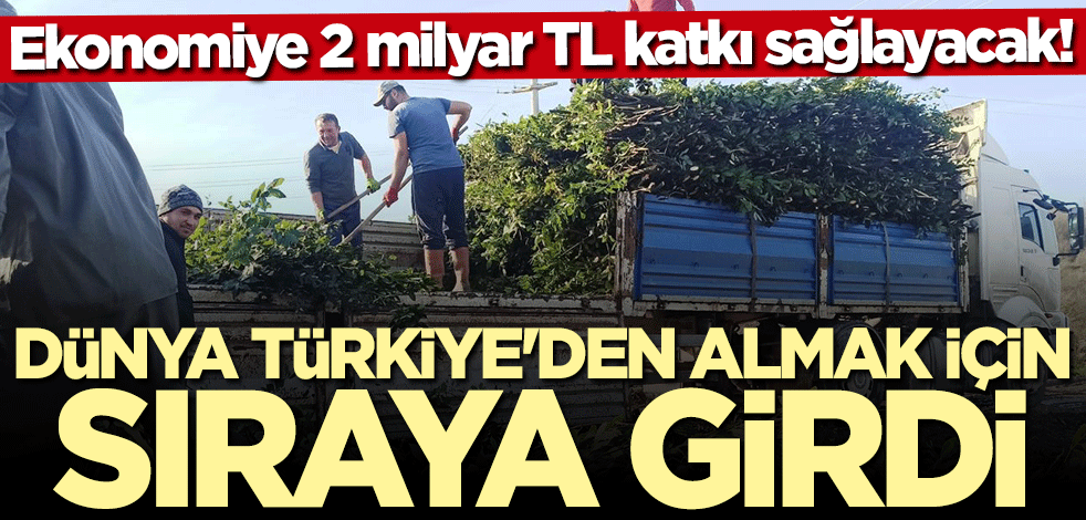 Dünyanın ihtiyacının yüzde 90'ını Türkiye karşılıyor! Ekonomiye 2 milyar TL katkı sağlayacak