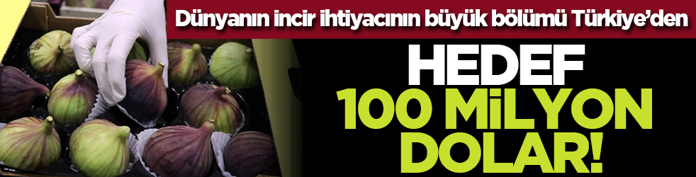 Dünyanın incir ihtiyacının büyük bölümü Türkiye’den: Hedef 100 milyon dolar!