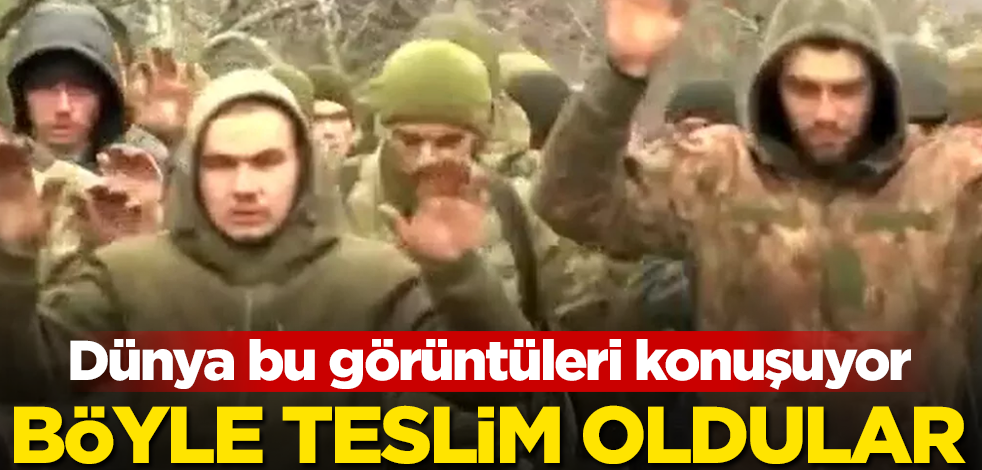 Dünyanın konuştuğu görüntüler! Böyle teslim oldular