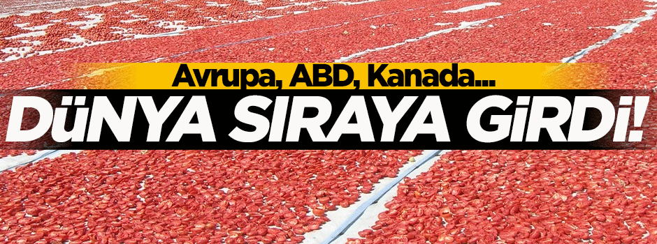 Dünyanın kuru domates ihtiyacını Torbalı karşılıyor!
