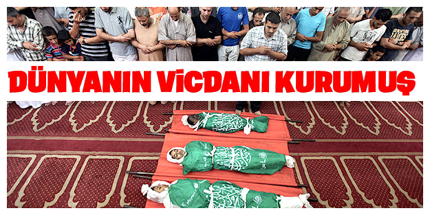 Dünyanın vicdanı kurumuş!