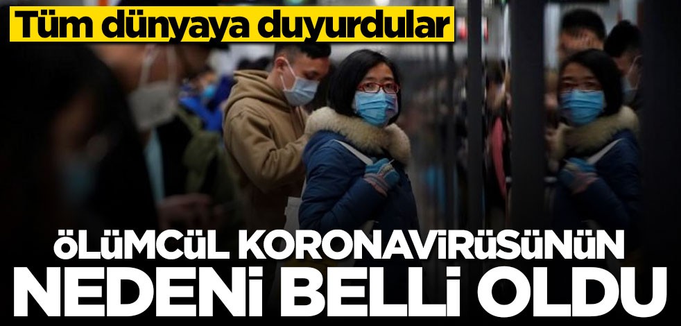Dünyaya duyurdular! Koronavirüsünün nedeni belli oldu