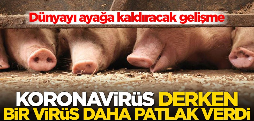 Dünyayı ayağa kaldıracak gelişme! Koronavirüs derken bir virüs daha patlak verdi