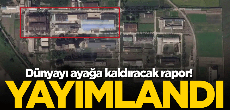 Dünyayı ayağa kaldıracak rapor! Yayımlandı