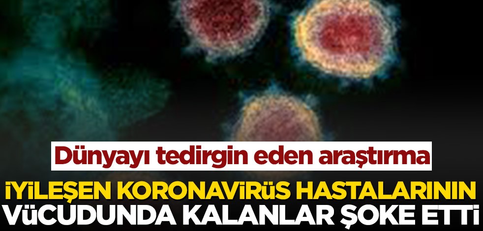 Dünyayı tedirgin eden araştırma! İyileşen koronavirüs hastalarının vücudunda kalanlar şoke etti
