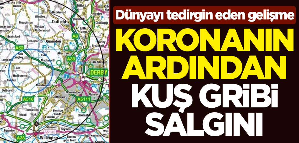 Dünyayı tedirgin eden gelişme! Koronavirüsün ardından kuş gribi salgını