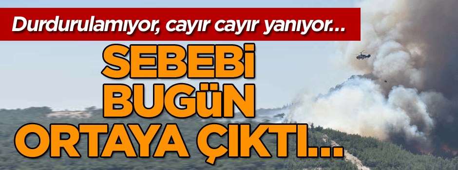 Durdurulamıyor, cayır cayır yanıyor… Sebebi bugün ortaya çıktı…