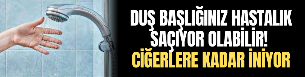 Duş başlığınız hastalık saçıyor olabilir! Ciğerlere kadar iniyor
