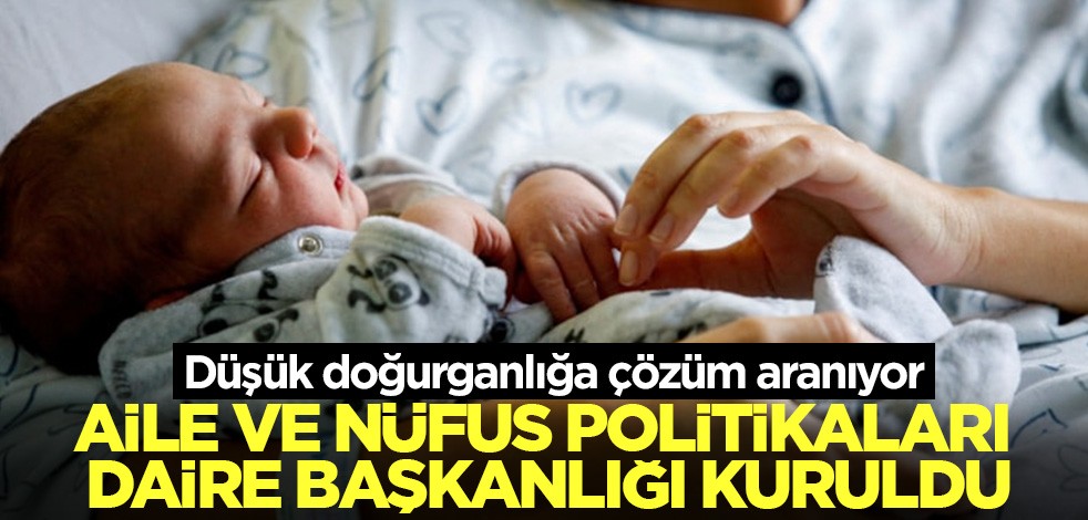 Düşük doğurganlığa çözüm aranıyor! Aile ve Nüfus Politikaları Daire Başkanlığı kuruldu