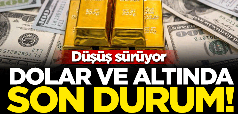 Düşüş sürüyor... Dolar, Euro ve altında son durum!