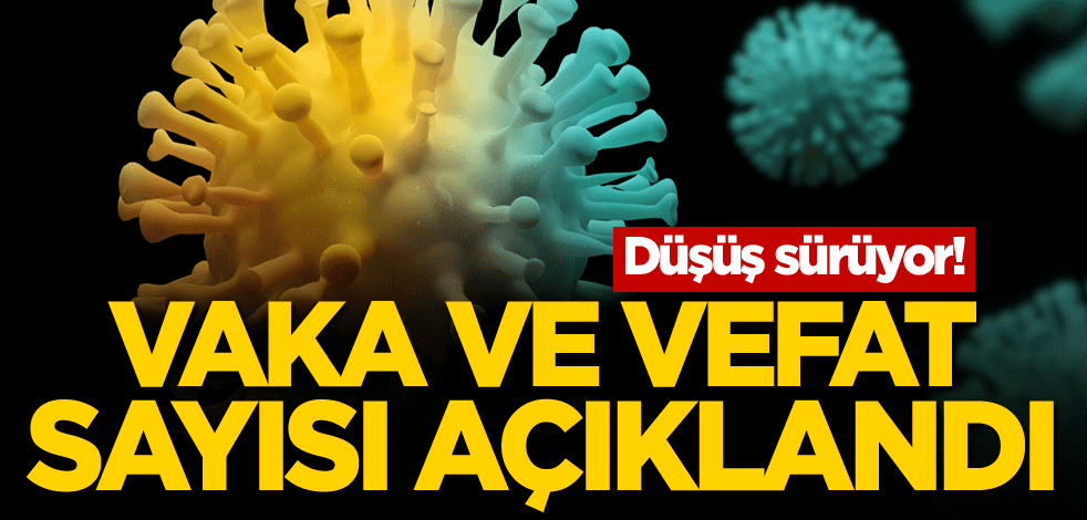 Düşüş sürüyor! Vaka ve vefat sayısı açıklandı