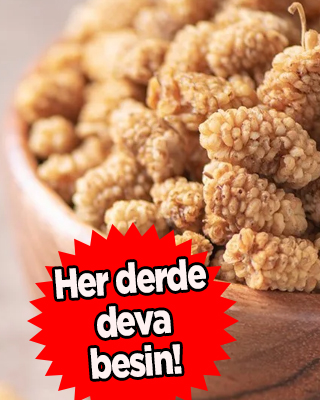 Dut kurusunun bilinmeyen 10 faydası! Tahtını kimseye bırakmıyor... Kuru dut, gramı altın kadar değerli!