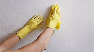 Duvar lekesi nasıl çıkar?