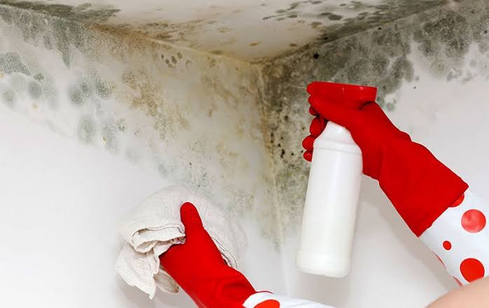 Duvardaki rutubet nasıl önlenir?