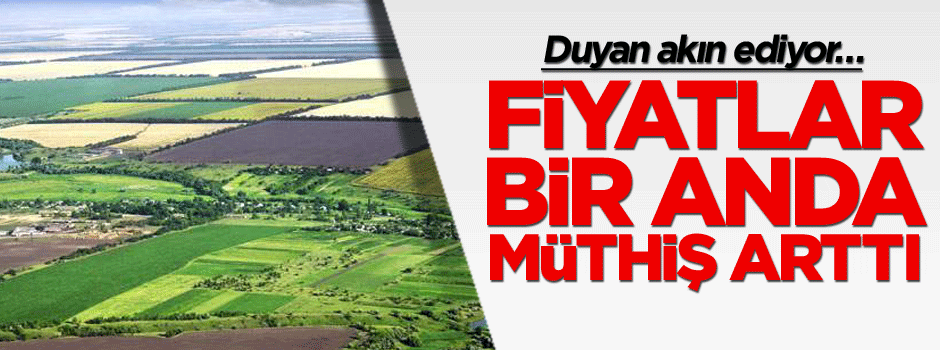 Duyan akın ediyor… Fiyatlar bir anda müthiş arttı