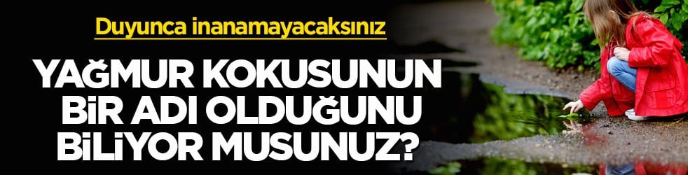 Duyunca inanamayacaksınız! Yağmur kokusunun bir adı olduğunu biliyor musunuz?