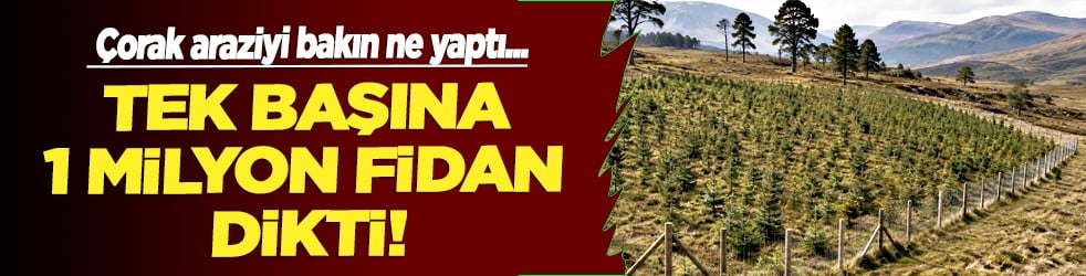 Duyunca şaşıracaksınız... Çorak araziyi bakın neye çevirdi: Teker teker 1 milyon fidan dikti