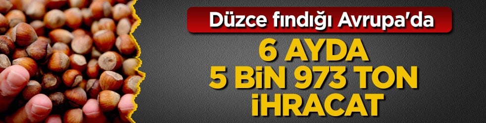 Düzce fındığı Avrupa'da! 6 ayda 5 bin 973 ton ihracat