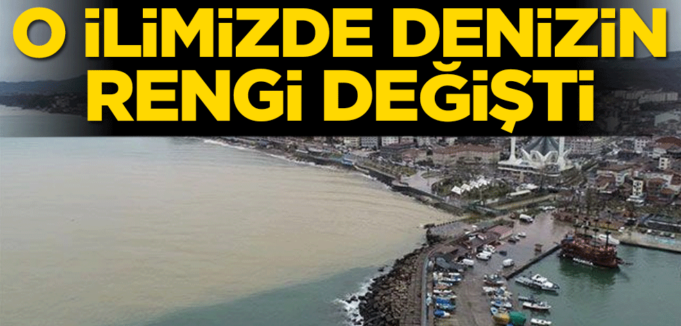 Düzce'de denizin rengi değişti