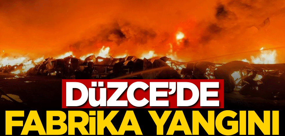 Düzce'de fabrika yangını