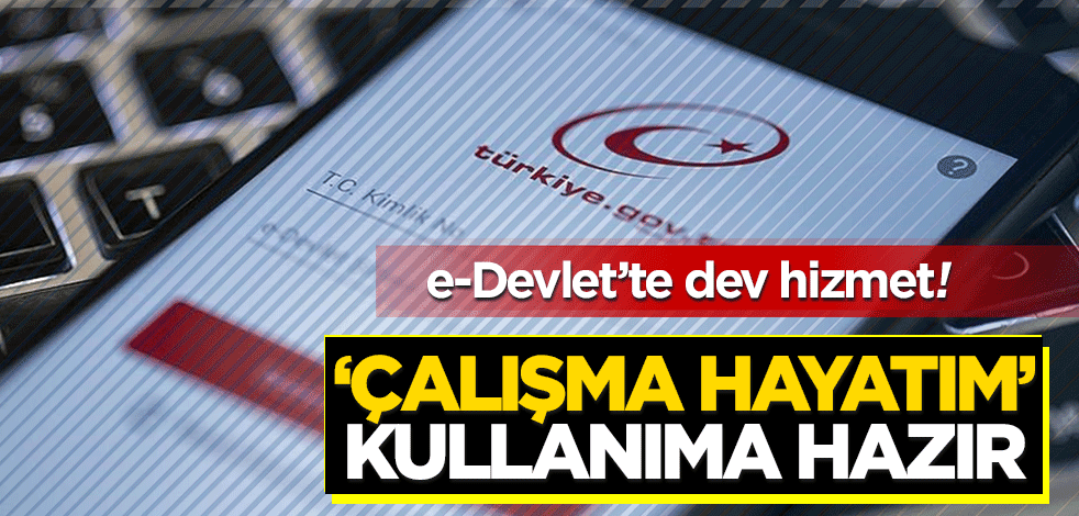 e-Devlet’te dev hizmet ‘Çalışma hayatım’ ile her şey sorgulanabilecek