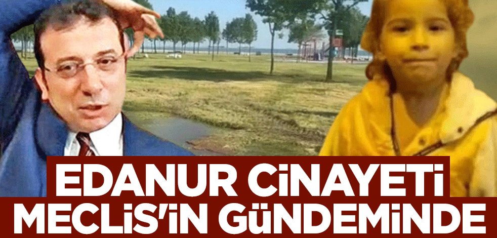 Edanur cinayeti Meclis'in gündeminde